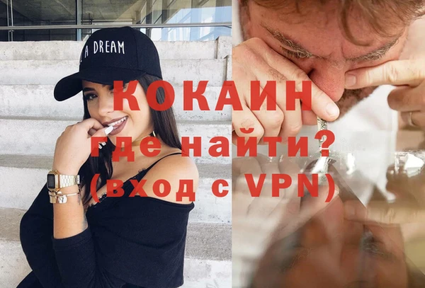 стаф Алзамай