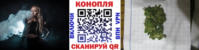 МАРИХУАНА сатива  Никольское 